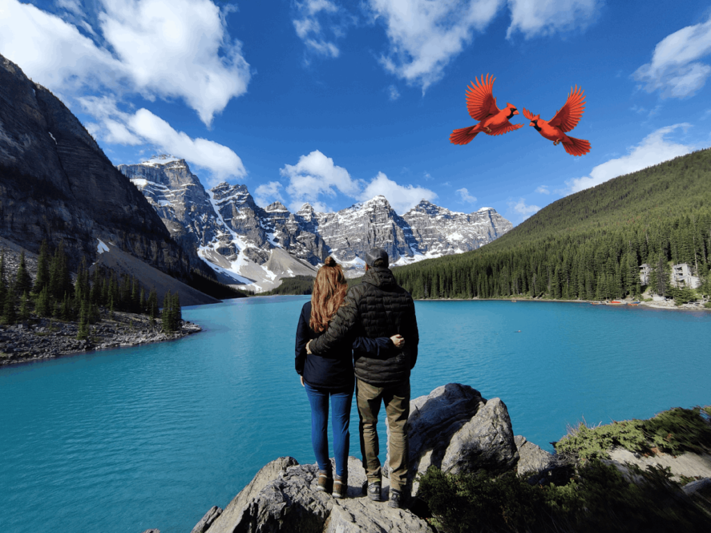 Wandering Cardinals