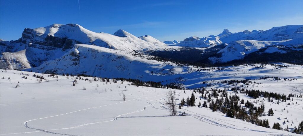 Sunshine - Beautiful Views