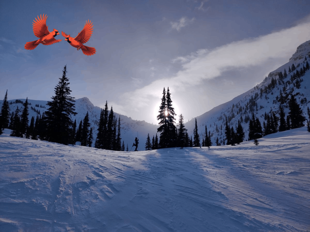 Kicking Horse - Bowl